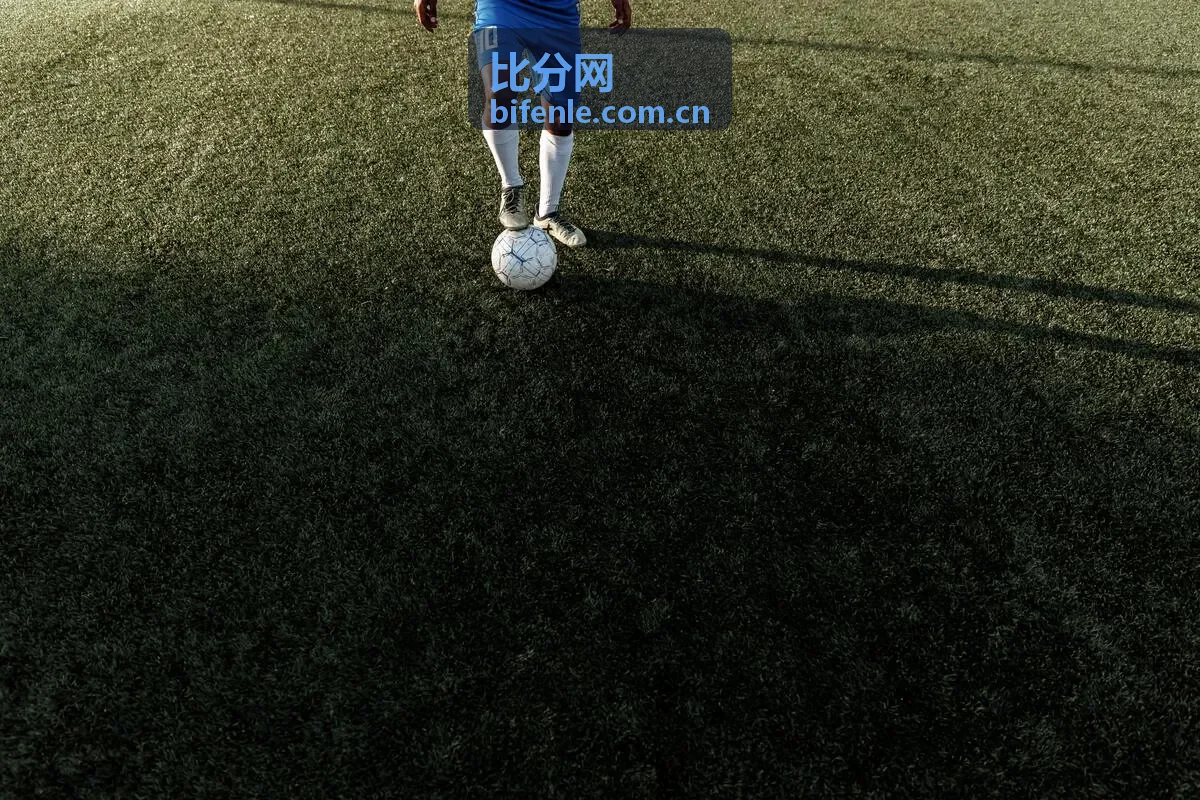 比分网英超球队客队徽